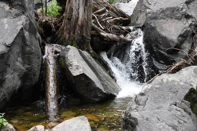 DSC_4606 (Large).JPG